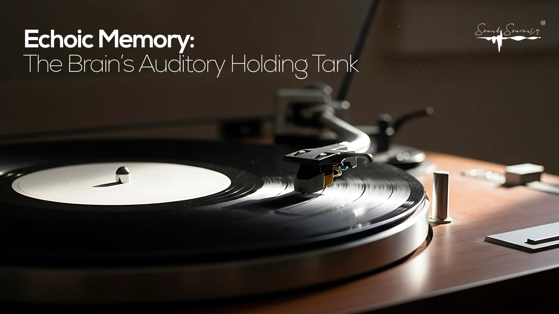 A vynil record player with the saying: Echoic Memory, The Brain’s Auditory Holding Tank
